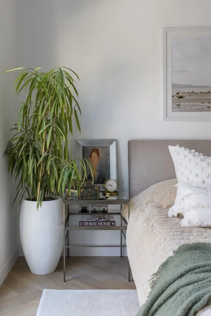 whatsapp_image_2026_01_15_at_3_18_16_pm_1_1x